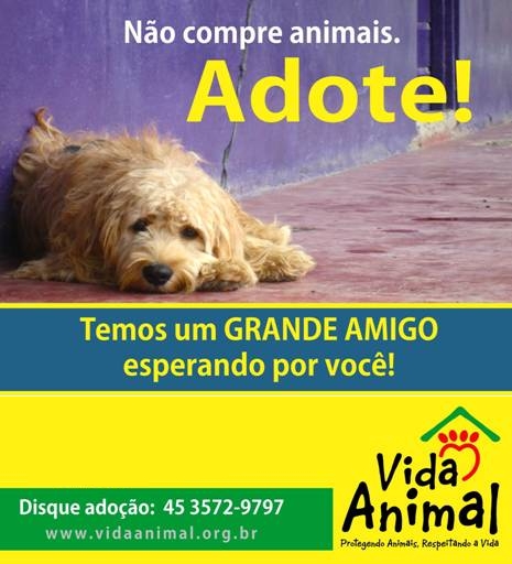 Vida Animal